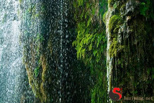 梦见大雨倾盆