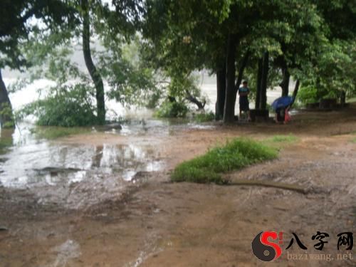 梦到水淹没道路