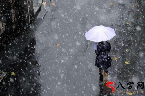 梦见雨夹雪