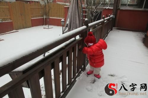 梦见大雪堵楼梯