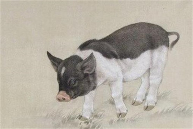 Picture14