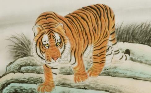 2025年1月30日生肖虎运势怎么样(这天生肖虎适合求财吗)