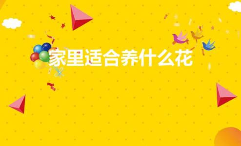 家里适合养什么花（适合家里养的花）