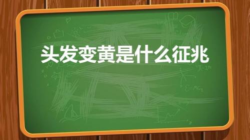 头发变黄是什么征兆（头发黄是什么情况）