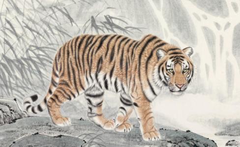 2025年1月16日生肖虎运势怎么样（这天生肖虎适合求财吗）