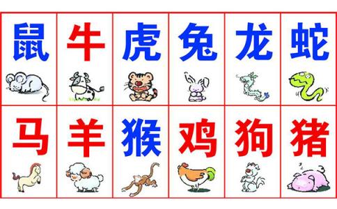 催旺财运的方法(增加财运的6个方法)