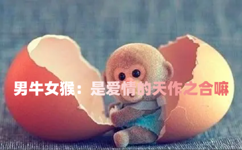 男属牛女属猴：是爱情的天作之合嘛（牛男与猴女的爱情奥秘）