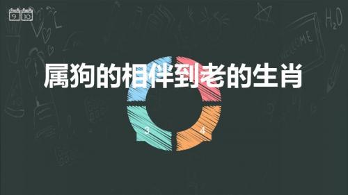 属狗的相伴到老的生肖（属狗白头偕老的生肖）