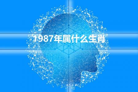 1987年属什么生肖（1987属什么生肖年）