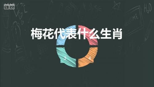 梅花代表什么生肖（十二生肖花代表哪个生肖）