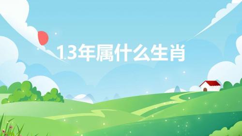 13年属什么生肖(13年属什么生肖的人)