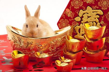 属兔的是哪年出生的(兔年年份表)